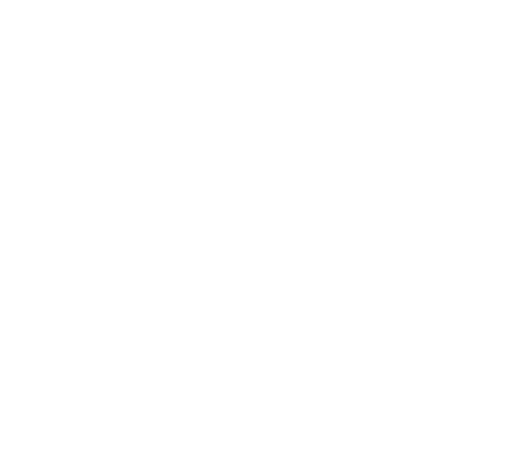 Chennai Lions