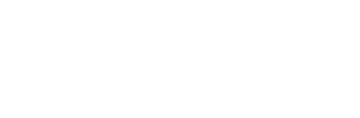 Hungry Turtle